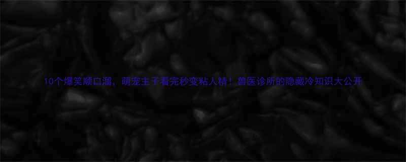 10个爆笑顺口溜萌宠主子看完秒变粘人精兽医诊所的隐藏冷知识大公开