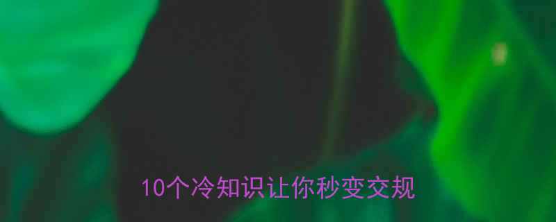 笑傲江湖交警最爆笑段子合集10个冷知识让你秒变交规达人