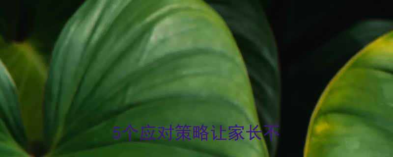 三轮车接送孩子被嘲笑这5个应对策略让家长不再尴尬