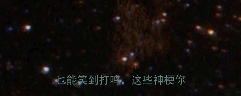 全网爆火的地狱笑话合集纯文字也能笑到打鸣这些神梗你敢看吗