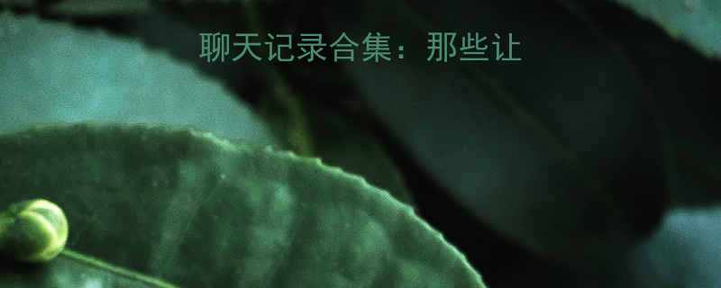 夫妻和闺蜜的爆笑聊天记录合集那些让婚姻更甜的日常趣事