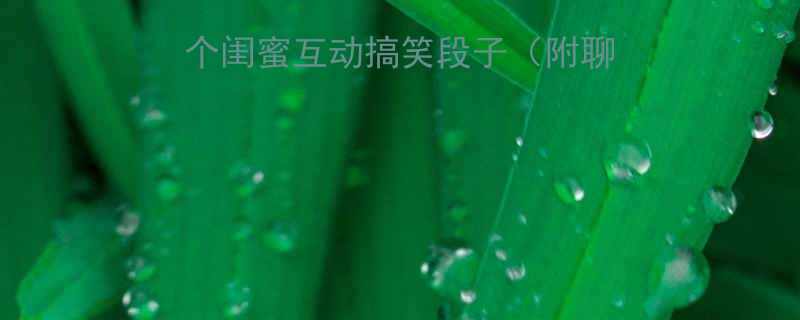 女生必收藏的108个闺蜜互动搞笑段子附聊天话术适用场景