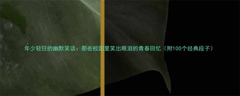 年少轻狂的幽默笑话那些校园里笑出眼泪的青春回忆附100个经典段子