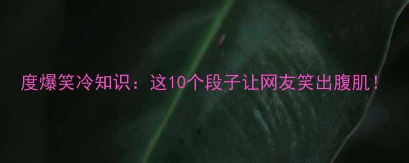 10个段子让网友笑出腹肌！