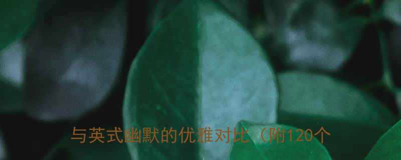 德国冷笑话VS英国菜笑话德式幽默的冷峻与英式幽默的优雅对比附120个经典案例