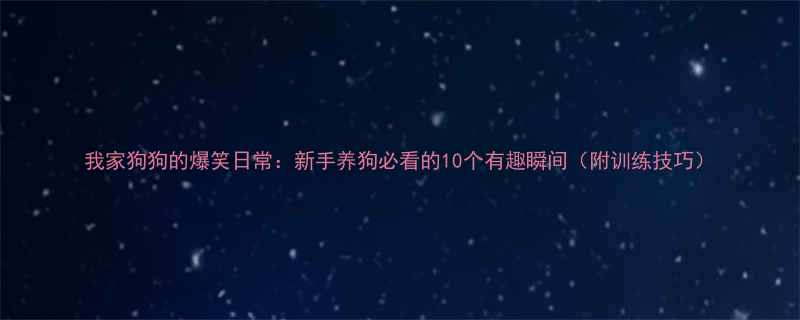 我家狗狗的爆笑日常新手养狗必看的10个有趣瞬间附训练技巧