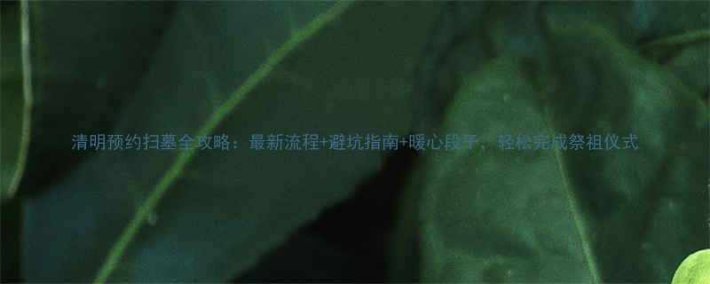 清明预约扫墓全攻略最新流程避坑指南暖心段子轻松完成祭祖仪式