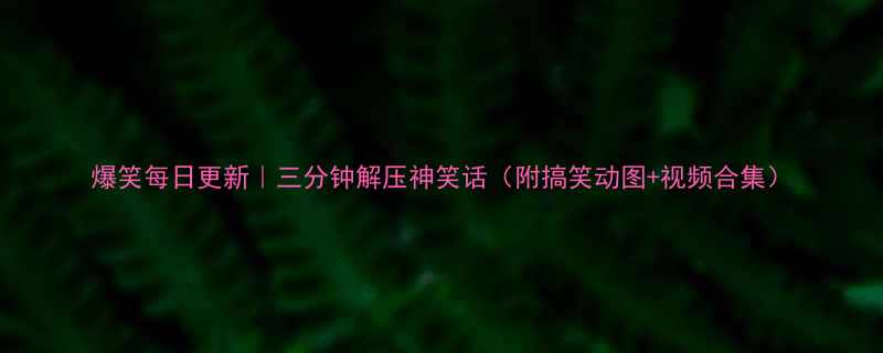 爆笑每日更新三分钟解压神笑话附搞笑动图视频合集