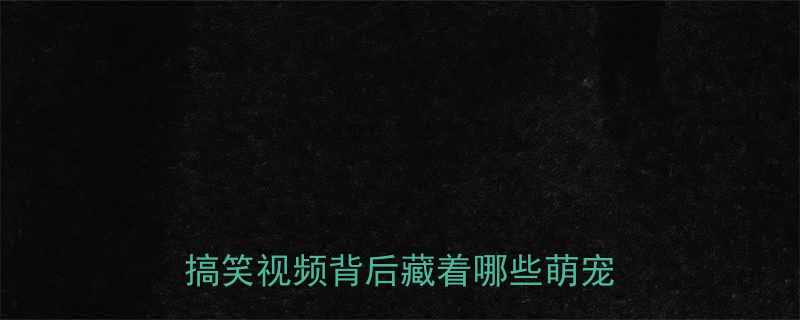 秋田犬荡秋千爆红网络全网疯传的搞笑视频背后藏着哪些萌宠冷知识
