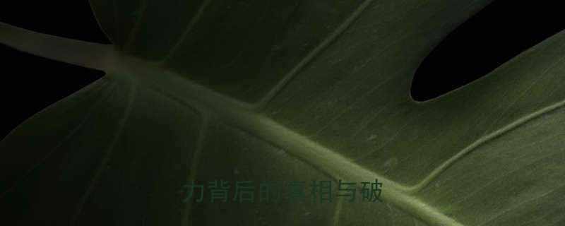 职场付出变笑话深度努力背后的真相与破局之道