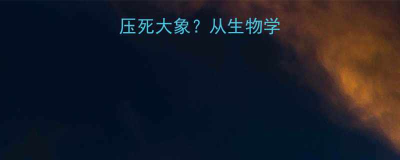 蚂蚁如何用智慧压死大象从生物学到职场的反差启示
