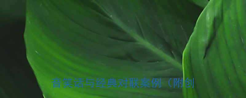 谐音梗妙用指南：盘点10个爆笑谐音笑话与经典对联案例（附创作技巧）