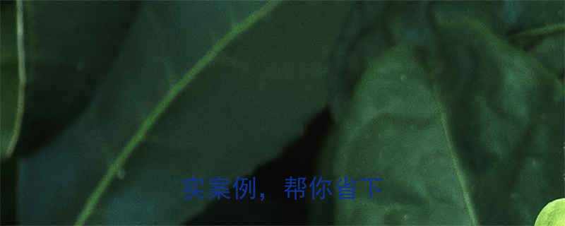 购车避坑指南10个真实案例帮你省下5万元