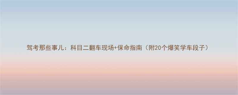 +保命指南（附20个爆笑学车段子）