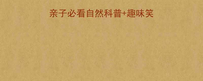 海滩乌龟大冒险亲子必看自然科普趣味笑话故事附教育意义