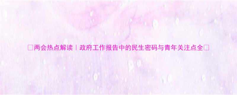 两会热点解读政府工作报告中的民生密码与青年关注点全