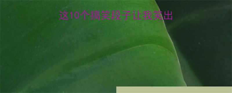 10个搞笑段子让我笑出腹肌（附爆笑彩蛋）