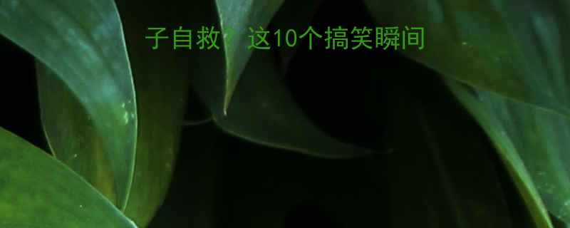 分手后如何用段子自救这10个搞笑瞬间让前任秒变喜剧人