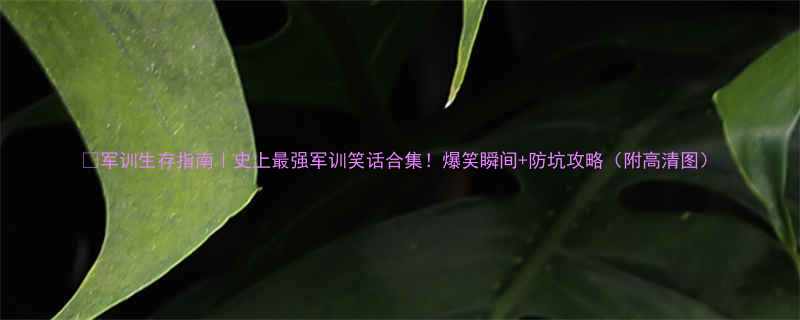 军训生存指南史上最强军训笑话合集爆笑瞬间防坑攻略附高清图